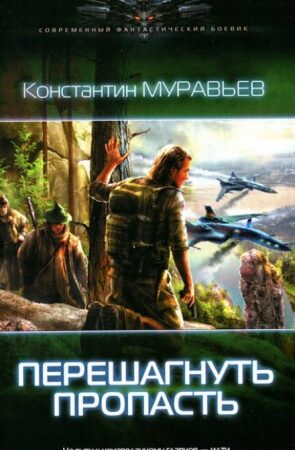 Перешагнуть пропасть книга аудиокнига